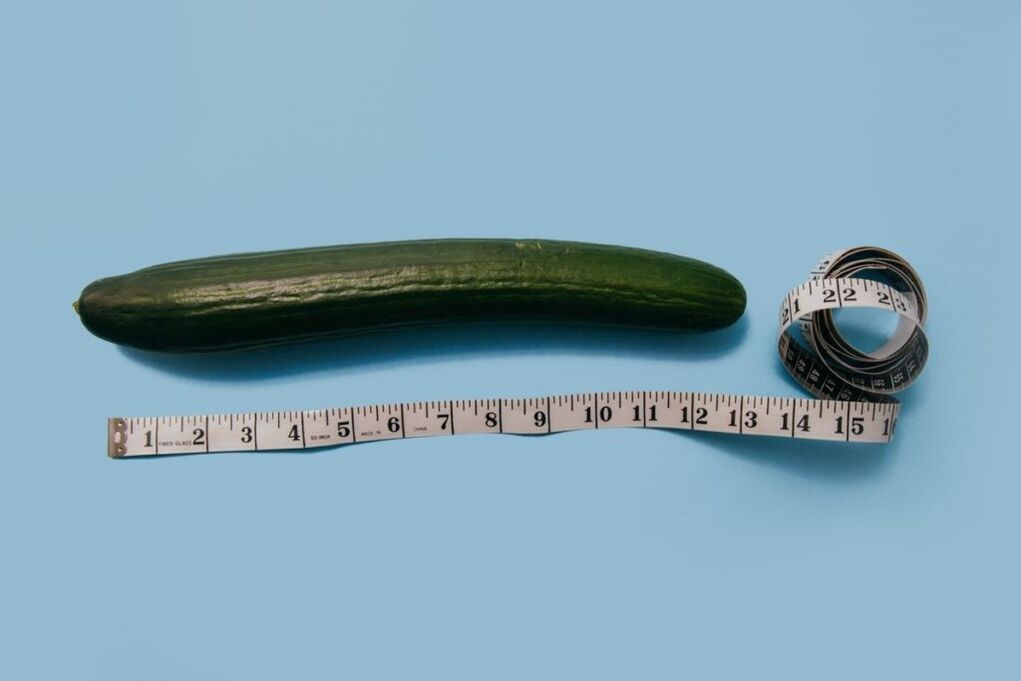 Measure the size of the penis by using the example of cucumber